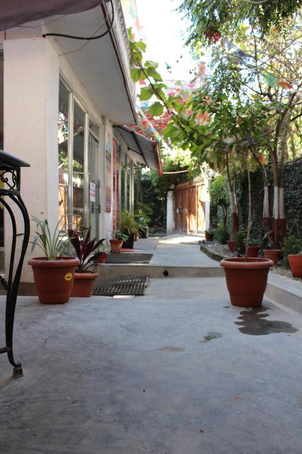Hostel Himalaya Катманду Экстерьер фото